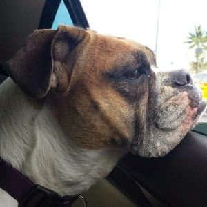 Meet your Posher, Micheal